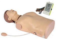 Advanced Half-Body CPR Training Manikin with Monitor & Voice Guided