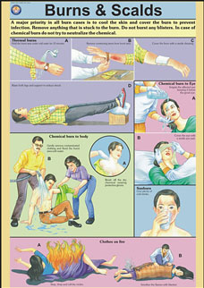 First Aid Charts Set of 15 Charts