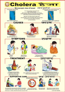 Prevent The Diseases Set of 24 Charts