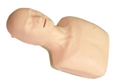 Basic CPR Manikin
