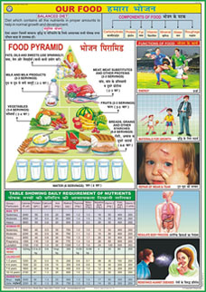 Charts on Food and Nutrition Set of 10 Charts
